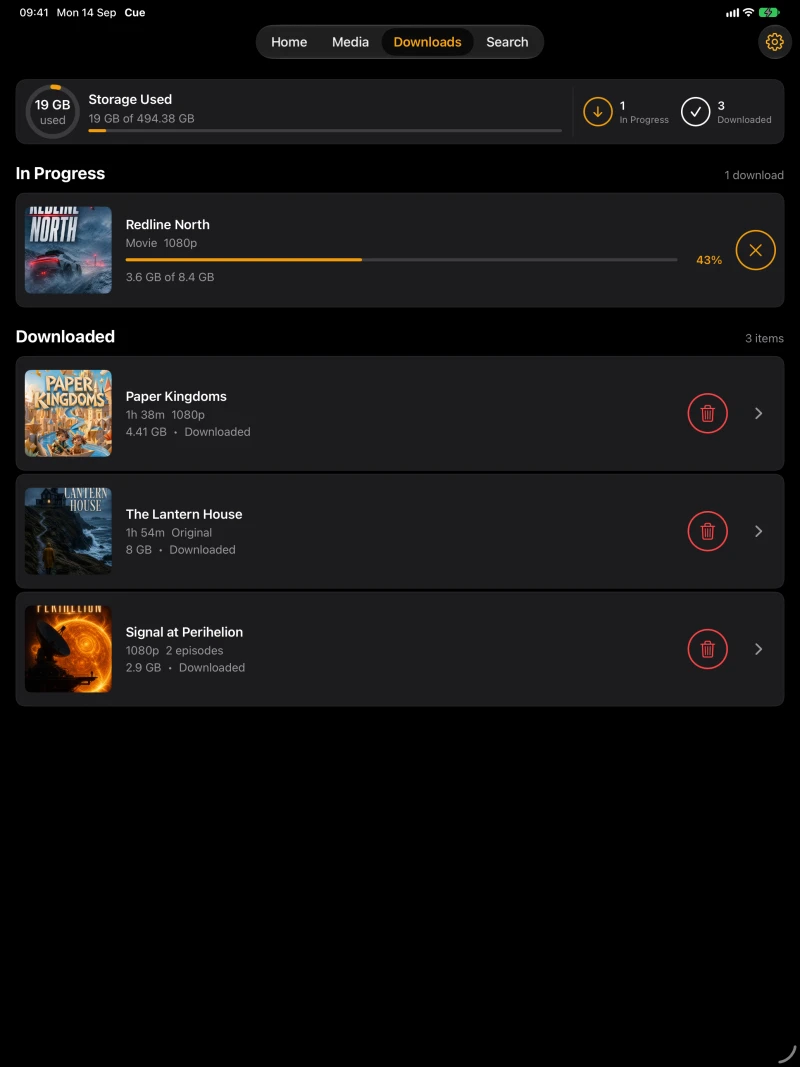 Cue download progress, storage use and offline library on iPad